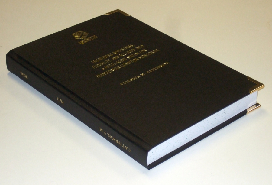 Doctoral thesis innovation