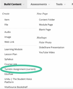 New turnitin menu sits within the Build Content sub-menu