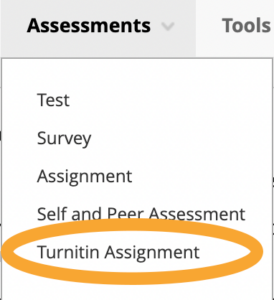 Old Turnitin Link sits within the Assessment sub-menu