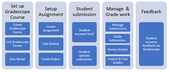 An image showing the homework assignment workflow
