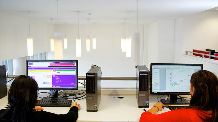 Two students looking at their individual computer screens