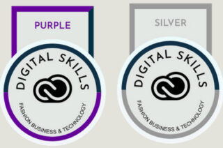 Using digital badges to recognise digital skills