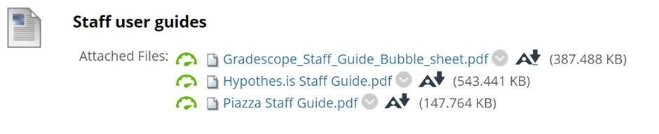 Image showing an example item. The image shows the item title, with a number of files listed underneath.