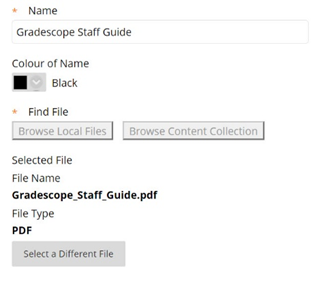 An image showing menu fields that users complete when setting up a file. (Name, Find File, button for Selecting a different file)