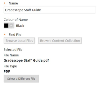 An image showing menu fields that users complete when setting up a file.  (Name, Find File, button for Selecting a different file)