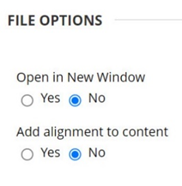 An image showing the files options menu, with radio buttons that can be selected.