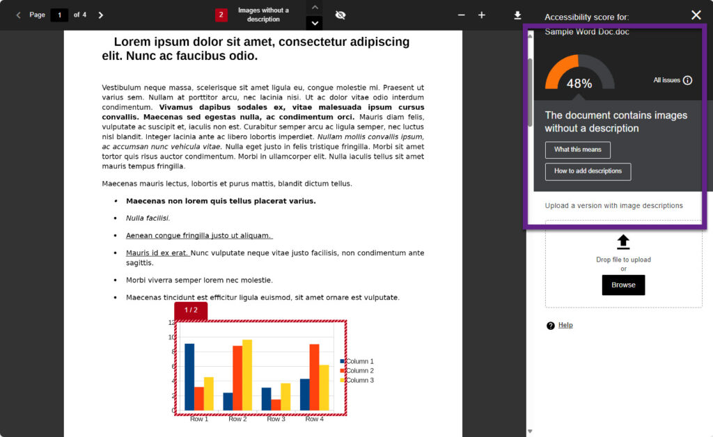 Accessibility report flagging document contains images without a description.
