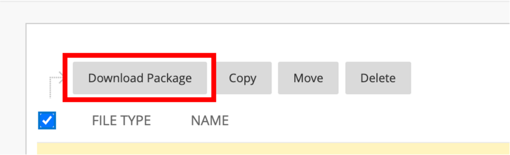 Screenshot of the Blackboard course files area, with the download package button highlighted by a red box