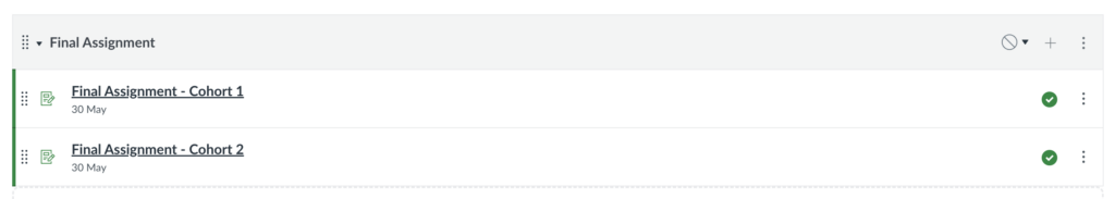 Screenshot of two assignments within a module