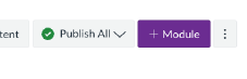screenshot of the +Module button in canvas