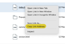Screenshot of the Copy URL option