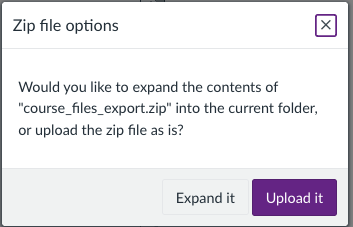 Canvas screenshot showing the prompt to unzip your files
