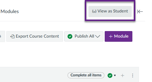 ‘View as Student’ button indicated